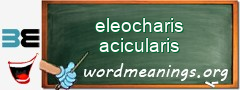 WordMeaning blackboard for eleocharis acicularis